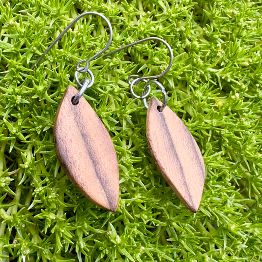 Black Walnut | Little Wisdom Leaf