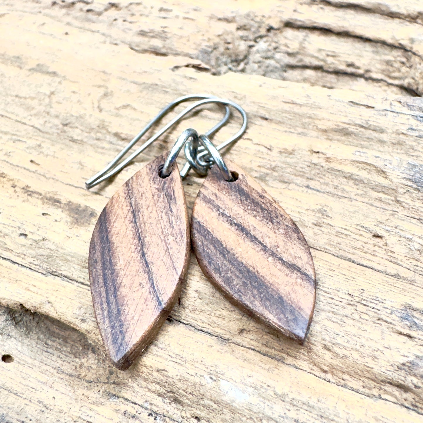 Black Walnut | Little Wisdom Leaf