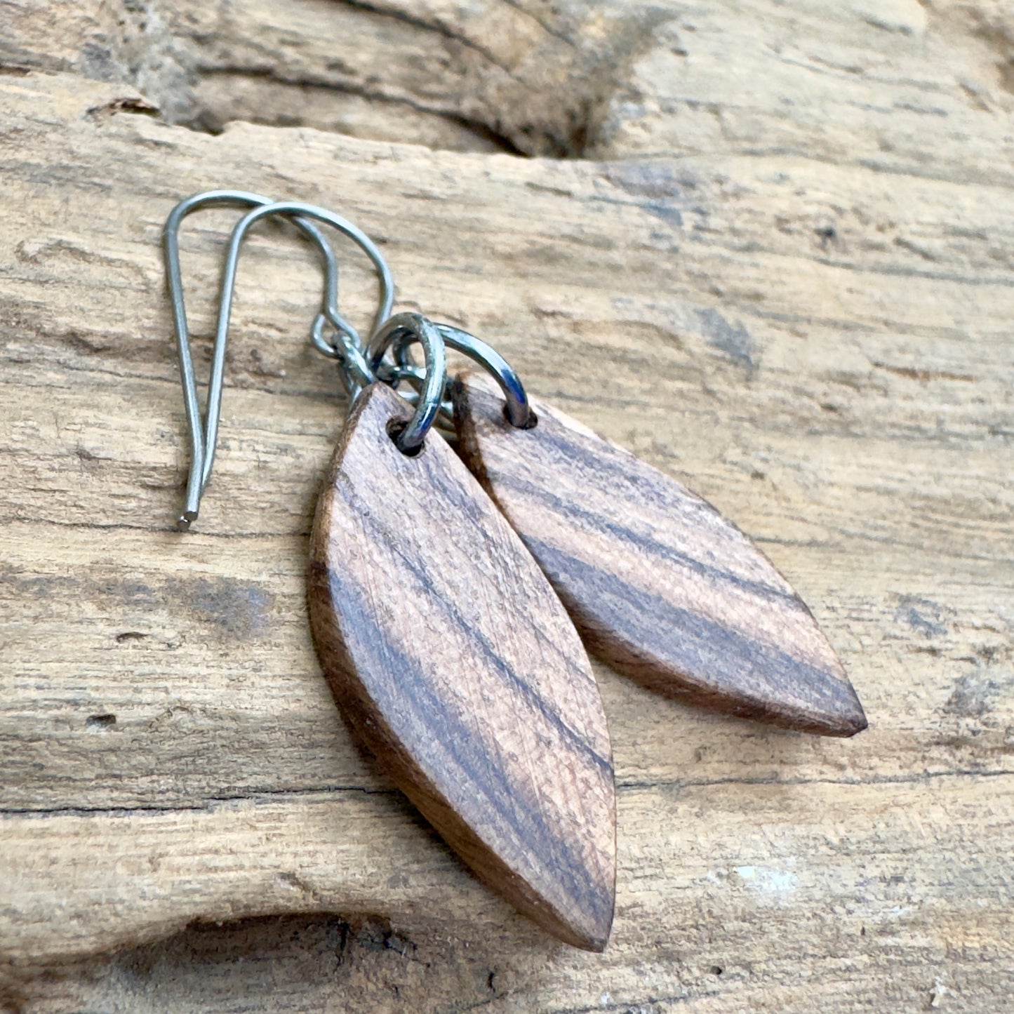 Black Walnut | Little Wisdom Leaf