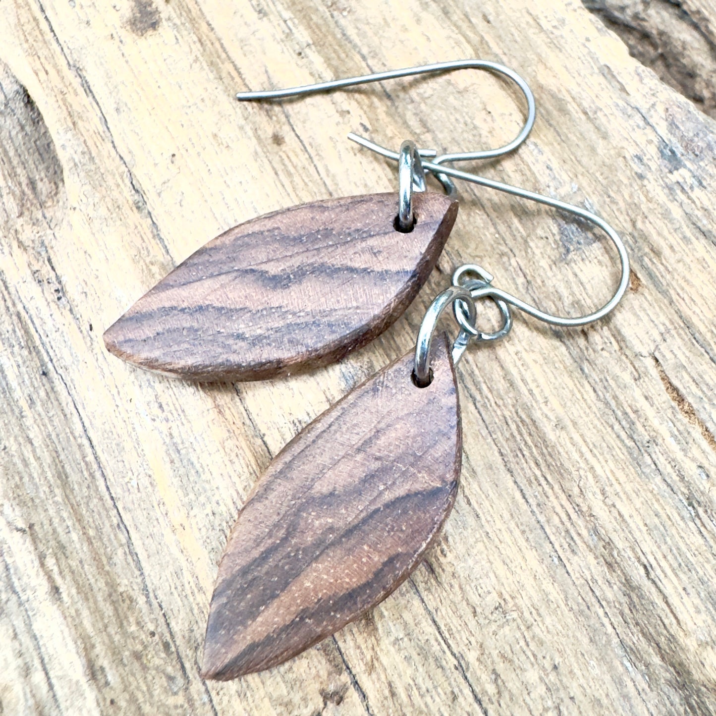 Black Walnut | Little Wisdom Leaf